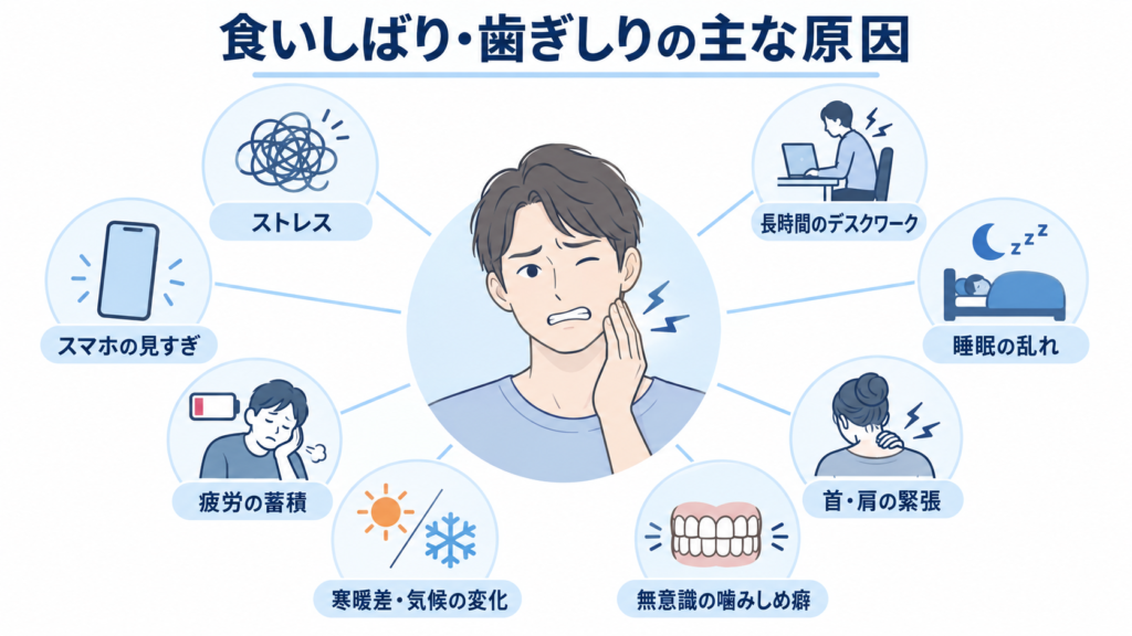 食いしばり・歯ぎしりの主な原因
